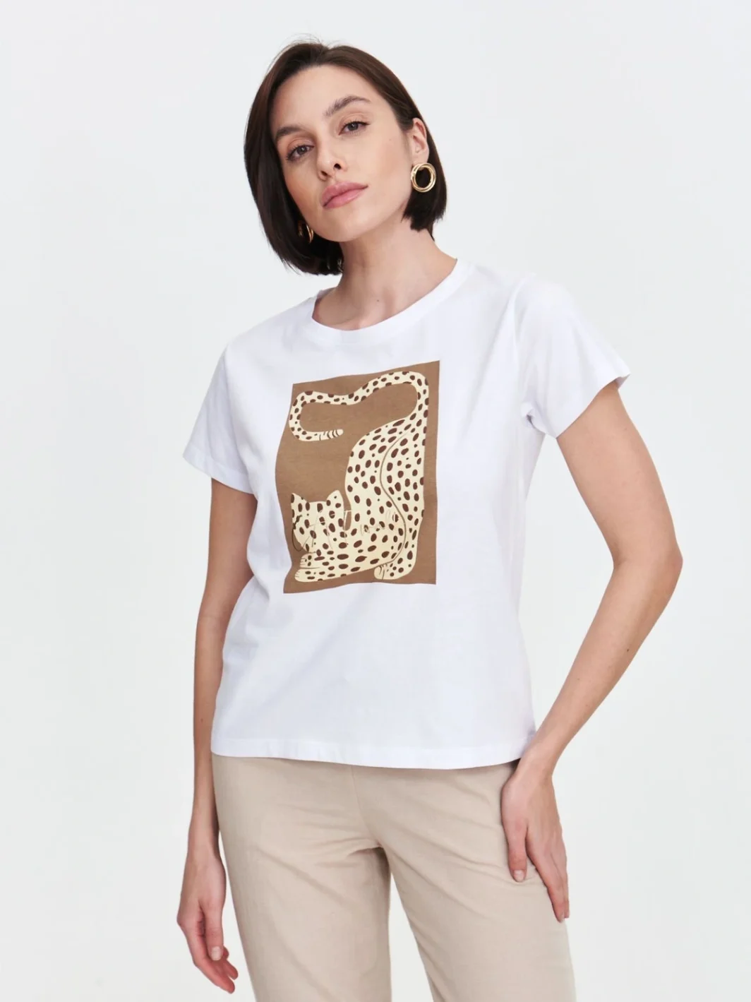tshirt cat