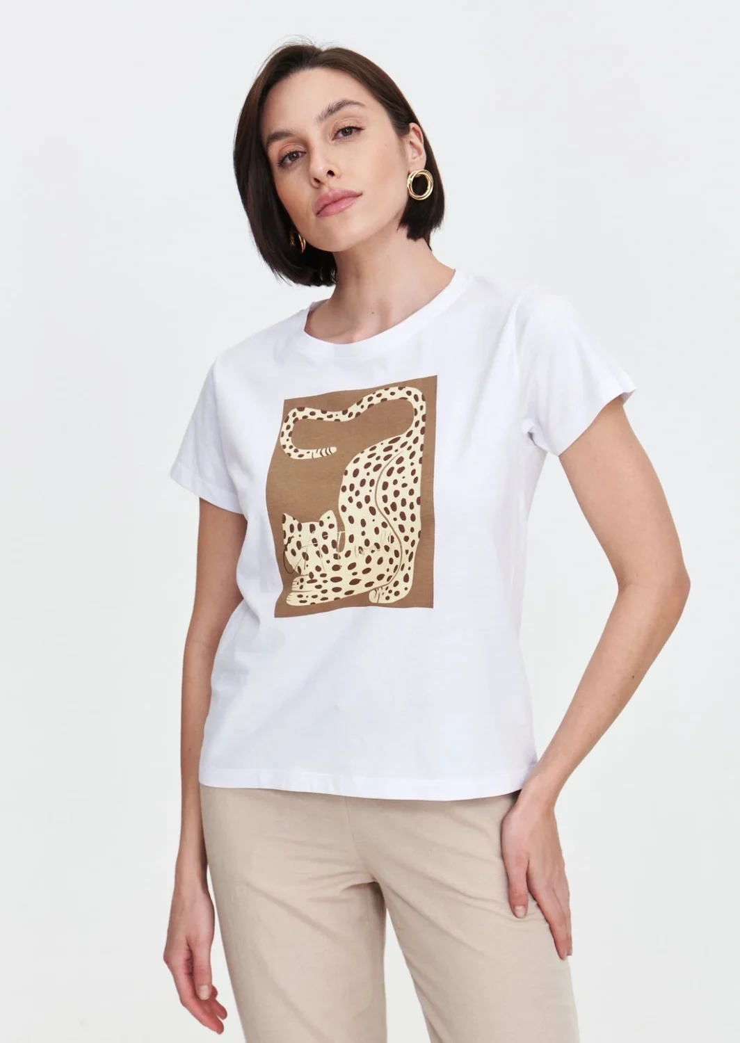 tshirt cat
