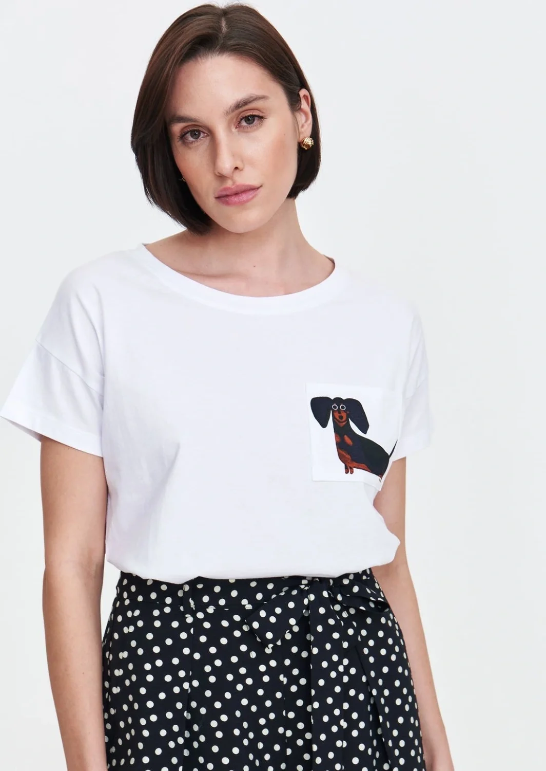 tshirt dog